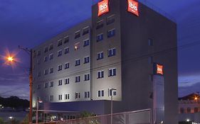 Ibis Jaboticabal